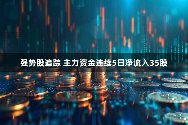 强势股追踪 主力资金连续5日净流入35股