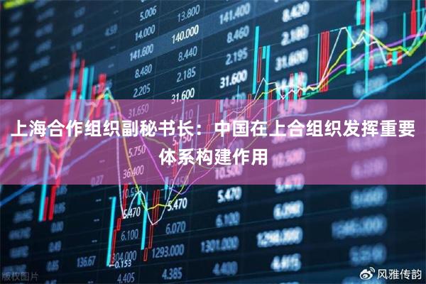 上海合作组织副秘书长：中国在上合组织发挥重要体系构建作用